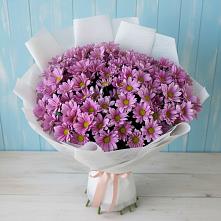 Букет цветов из:  Хризантемы #REPLACE_PRED# Глушково