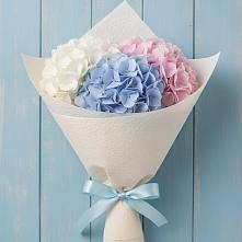 Букет цветов из:  Гортензия в Глушково