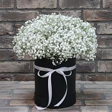 Цветочная композиция из Гипсофила в шляпной коробке в Глушково
