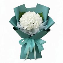 Букет цветов из:  Гортензия #REPLACE_PRED# Глушково